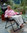 Relax Liege Sungörl Oasi Petra 215BL030 Relax + Wellness Sonnen Liege Sessel + Liegestuhl klappbar