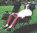 Relax Liege Sungörl Oasi Petra 215BL030 Relax + Wellness Sonnen Liege Sessel + Liegestuhl klappbar