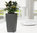 Lechuza Premium Pflanzgefäß CUBICO 22 Komplettset 18463 anthrazit Design Blumentopf