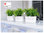 Lechuza Pflanzgefäß Delta 20 + Komplett-Bewässerungs-Set 15560 weiß Fensterbank Design Blumenkasten