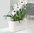 Lechuza Pflanzgefäß Delta 20 + Komplett-Bewässerungs-Set 15566 taupe Fensterbank Design Blumenkasten