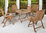 Zebra Klapp Tisch Poker 90cm rund 2306-S Teakholz Gartenmöbel klappbar Klapptisch Teak Holz massiv
