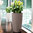 Lechuza Pflanzgefäß RONDO 32 Komplettset 15789 schwarz Design Blumenkübel + Kunststoff Pflanzeinsatz