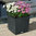 Lechuza Pflanzgefäß Cube Cottage 40 granit 15382 Design Blumentopf Kübel + Bewässerung-Pflanzeinsatz