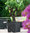 Lechuza Pflanzgefäß Cube Cottage 40 granit 15382 Design Blumentopf Kübel + Bewässerung-Pflanzeinsatz