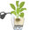 Lechuza Pflanzgefäß CLASSICO PREMIUM LS 28 Komplettset 16040 weiß Design Blumentopf + Pflanzeinsatz