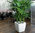 Lechuza Pflanzgefäß QUADRO PREMIUM LS 28 weiß 16140 + Bewässerungs-Komplett-Set Design Blumentopf