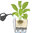 Lechuza Pflanzgefäß QUADRO PREMIUM LS 28 weiß 16140 + Bewässerungs-Komplett-Set Design Blumentopf
