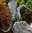 Rottenecker Bronze Figur Drachenvogel Saphira 90167 Skulptur B=80cm