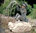 Rottenecker Bronce Gartenfigur HANS 88122 Wasserspeier H=44cm