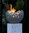 Rottenecker Feuerschale FIRE klein Bronze 22010 grün 27cm, incl.Brennkammer, oh.Steinsäule u.Ethanol