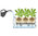 Lechuza Balkonkasten Balconera Color 50 Komplettset 15670 weiß Blumenkasten + Erd-Bewässerungs-Set