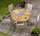 Zebra Tisch rund 120cm Oryx 7275 Esstisch Edelstahl + recycled Teak Schweizer Kante Gartentisch