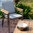 Zebra Stapelsessel Infinity 3318 Edelstahl + Teak Armlehnen + Tex shell grey Design Gartensessel