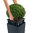Lechuza Premium Pflanzgefäß CUBE 30 Komplettset 16465 taupe Design Blumentopf + Pflanzeinsatz