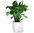 Lechuza Premium Pflanzgefäß CUBE 50 Komplettset 16560 weiß Design Blumentopf + Pflanzeinsatz