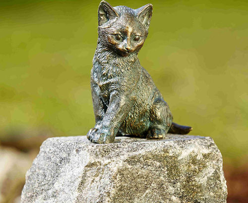Rottenecker Bronze Gartenfigur Junge Katze sitzt 89006 H=13cm