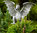 Rottenecker Alu Figur Drachenvogel Terrador 90166alu Skulptur H=49cm