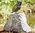 Rottenecker Bronce Figur Uhu steht 89002 Deko Skulptur H=29cm