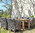 Zebra Tisch 230x100cm recyceltes Teak Holz Oskar 5310 Esstisch Old Teakholz Gartentisch Massivholz