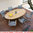 Zebra Tisch oval 220x128cm Trix 7596 Edelstahl + Teak Tischplatte + Inlay
